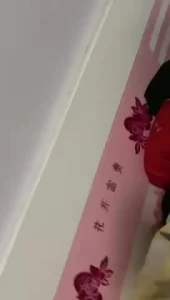 91肉丝女友后续